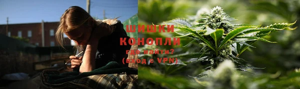 спиды Аркадак