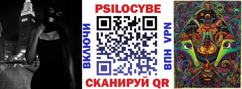Галлюциногенные грибы Psilocybine cubensis Мурманск
